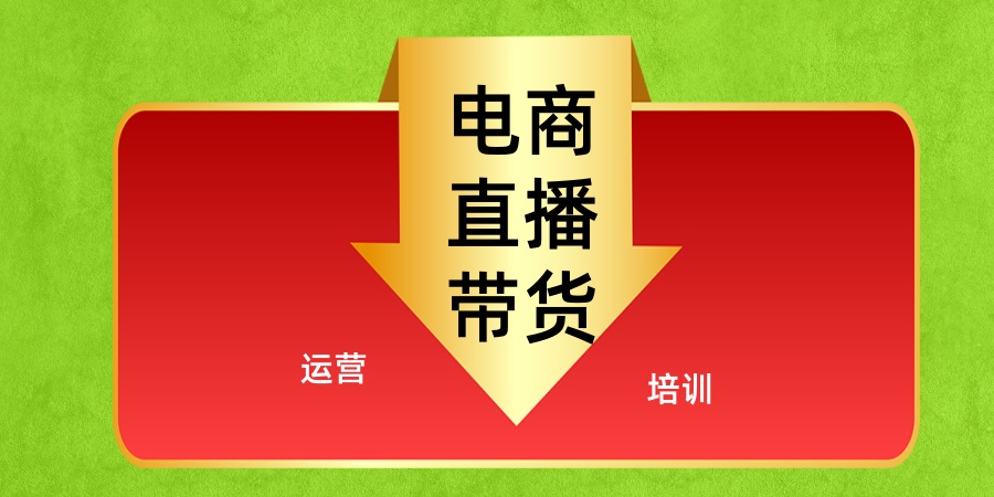 电商直播带货运营培训学校