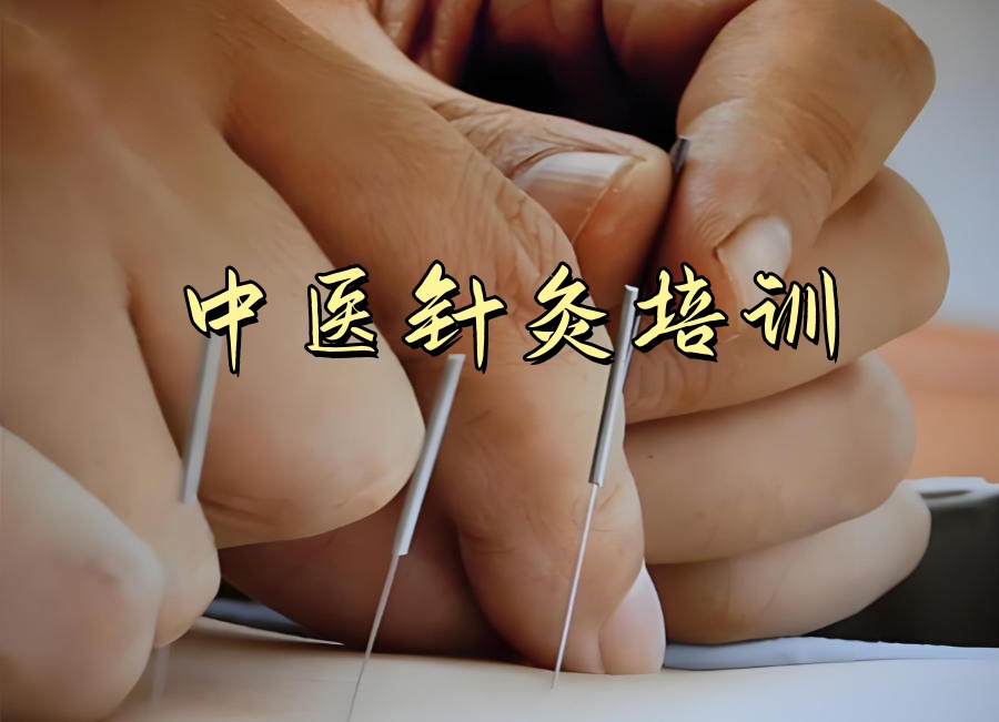中医针灸教学培训班