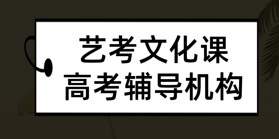 合肥佰加艺考文化课辅导机构怎么样?全方位的高考辅导!