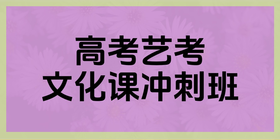 合肥艺考文化课辅导机构