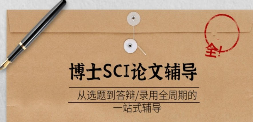 论文辅导