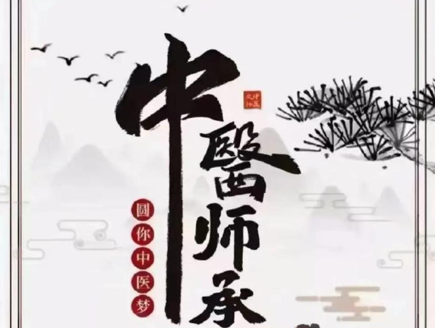 中医师承培训机构