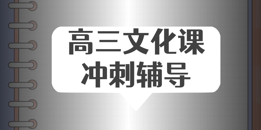 高三文化课冲刺辅导机构