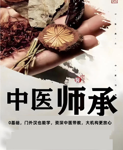 中医师承培训机构哪家好十大榜单更新