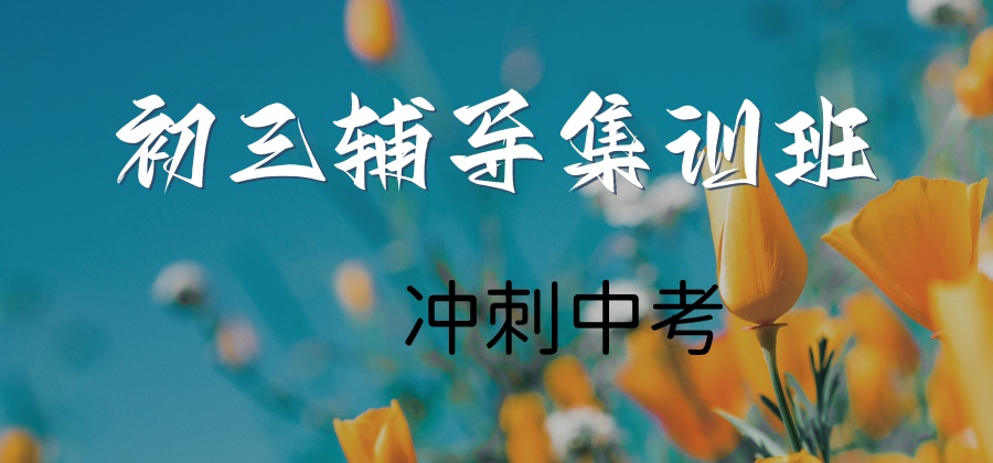 初三中考全封闭冲刺班