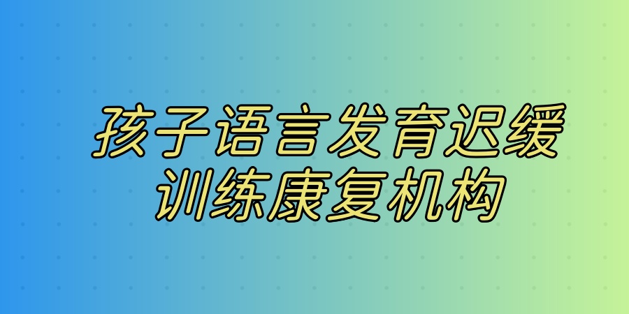孩子语言发育迟缓训练康复机构
