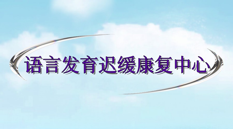 原孩子语言发育迟缓训练康复机构