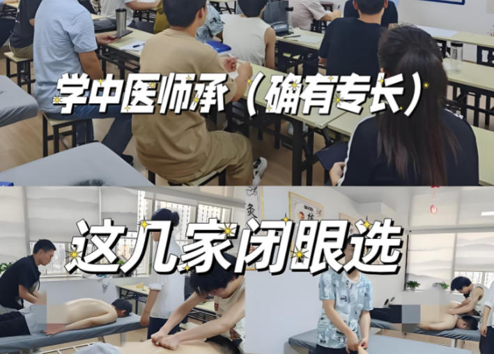 中医师承培训机构有哪些十大榜单汇总