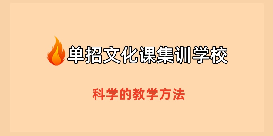 单招文化课集训学校