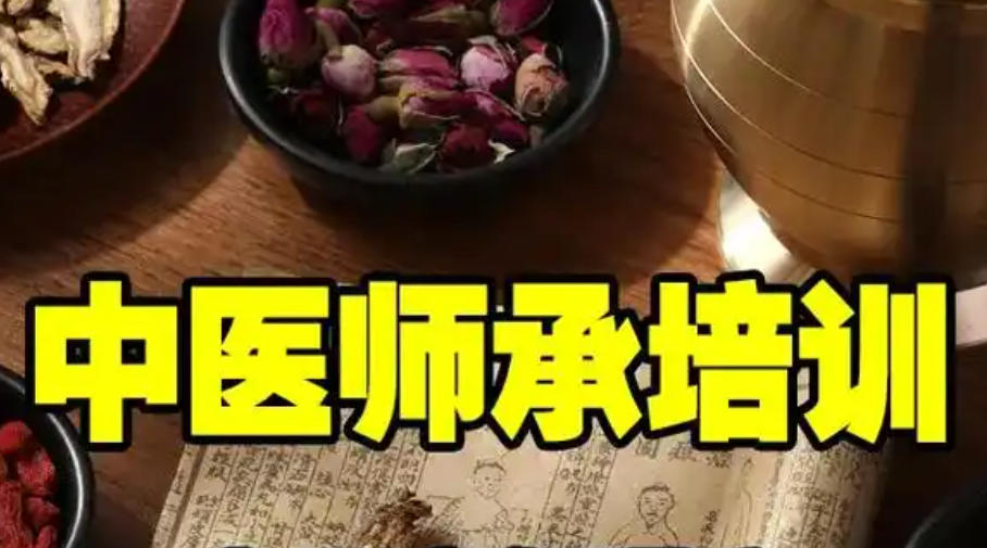 中医师承培训学校