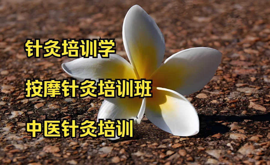 中医针灸技术实操教学实践培训班