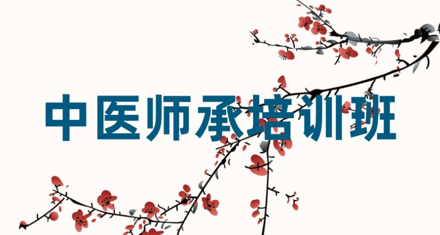 中医师承培训