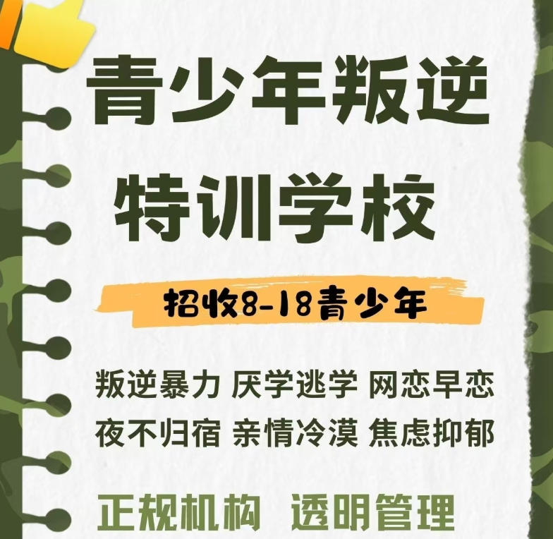叛逆网瘾少年全封闭特训学校