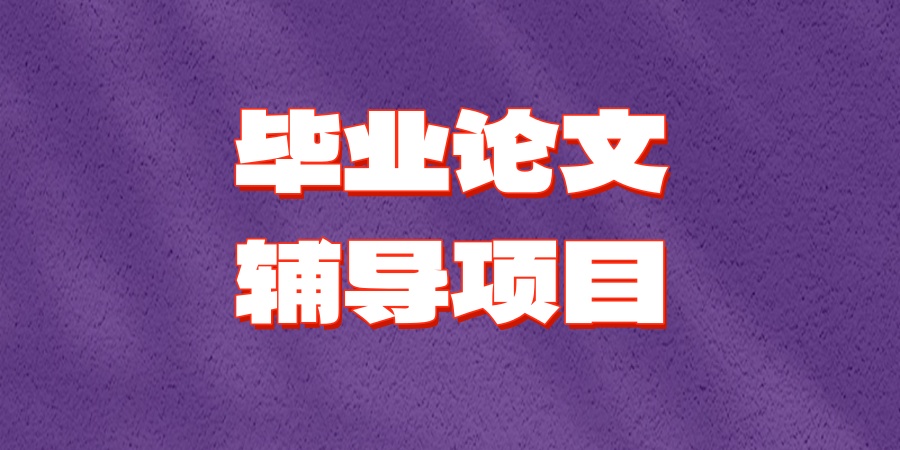 毕业论文辅导项目