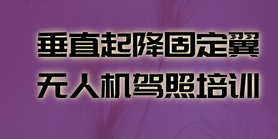 垂直起降固定翼无人机驾照培训学校