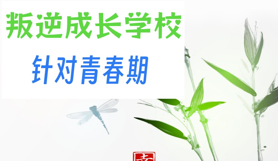 TOP十大2026青春期叛逆管教戒网瘾学校排行一览.jpg