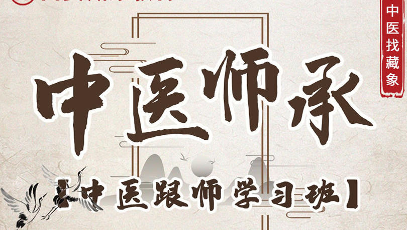 中医师承培训机构