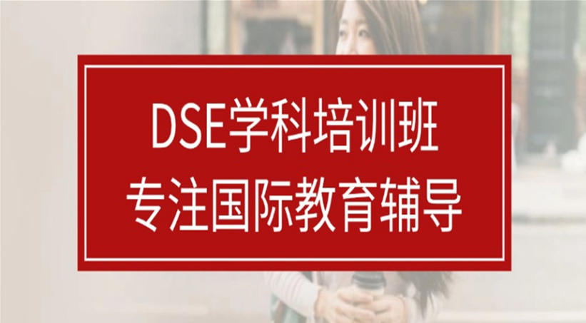 DSE培训机构