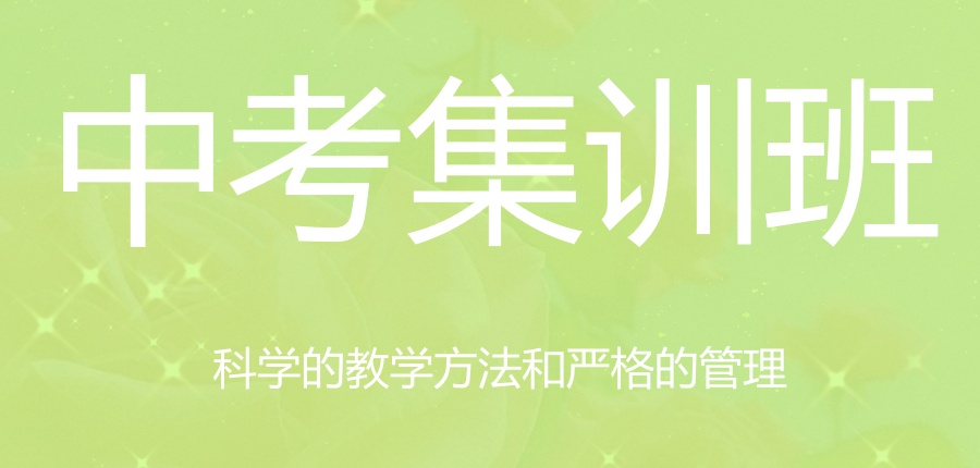 上海中考辅导集训机构2026热门推荐榜-中考补习冲刺班