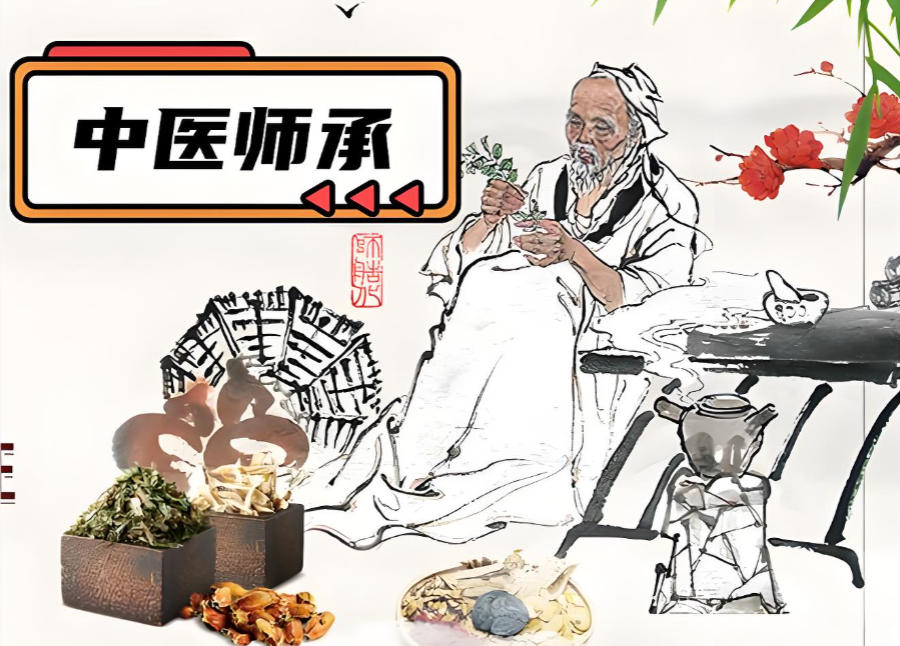 中医师承教学培训机构
