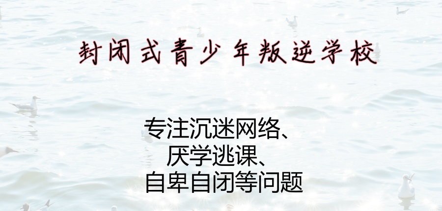 叛逆全封闭特训学校