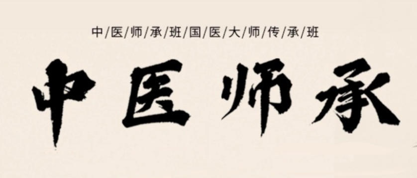 南京中医师承培训机构