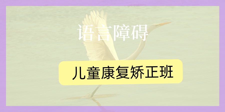 太原语言障碍儿童康复干预机构