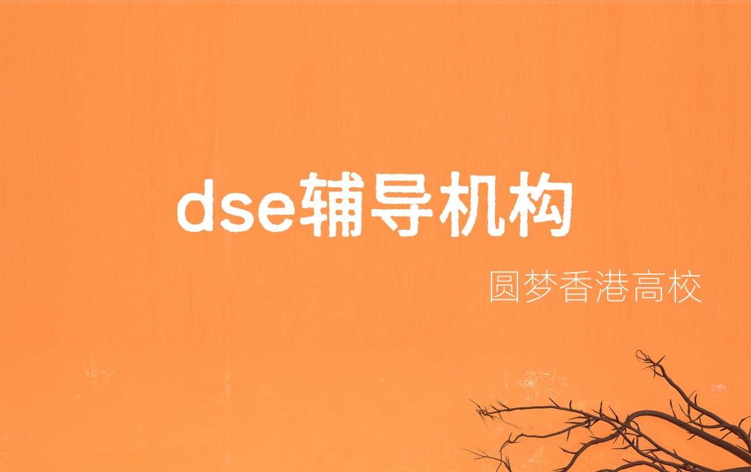 辅导HKDSE考试培训班