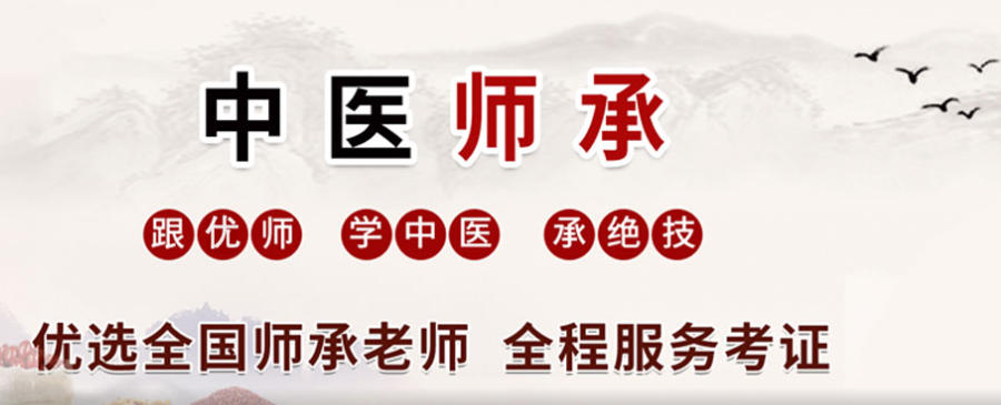 中医师承培训学校