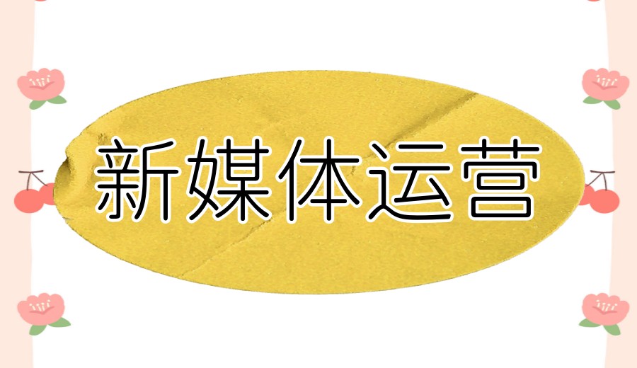 一个视频涨粉10万,红瓜子新媒体视频培训班带你破局！.jpg