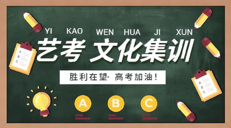艺考文化课补习机构