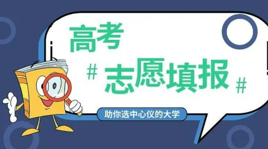 高考志愿填报一对一服务机构
