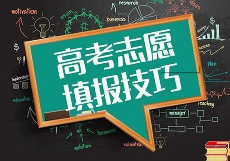 2026 高考志愿填报
