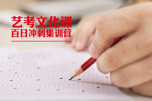 艺考文化课辅导课程