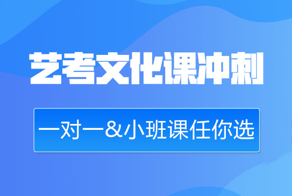 艺考文化课辅导