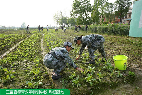 校区环境