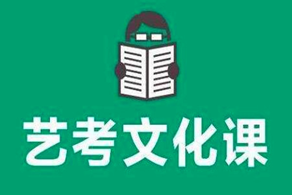 艺考文化课补习