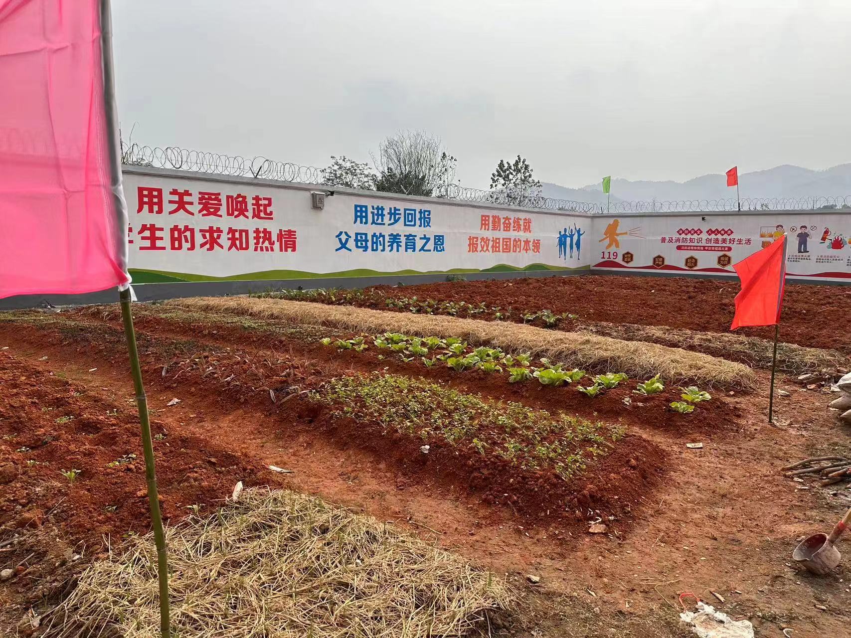博智校区环境