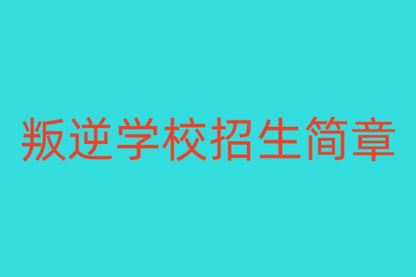 叛逆学校招生简章
