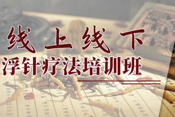 中医浮针疗法培训班