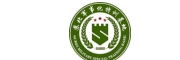 叛逆特训学校