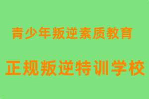 叛逆特训学校