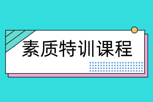 叛逆素质特训客课程介绍