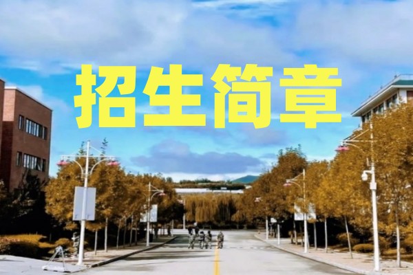 山东力明科技职业学院招生简章