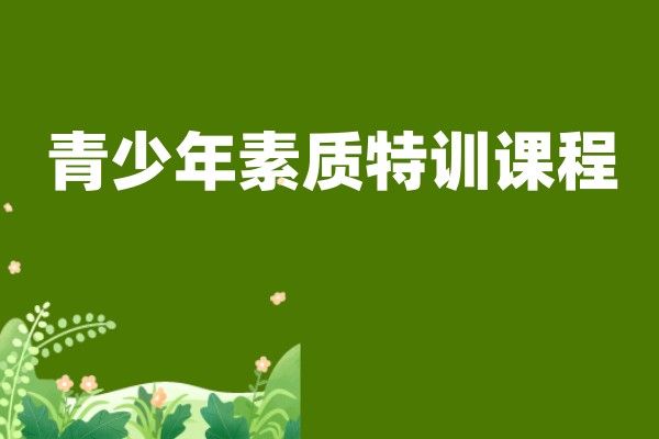 叛逆孩子素质特训课程介绍