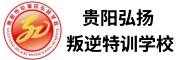 弘扬叛逆特训学校