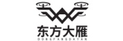 东方大雁航空科技