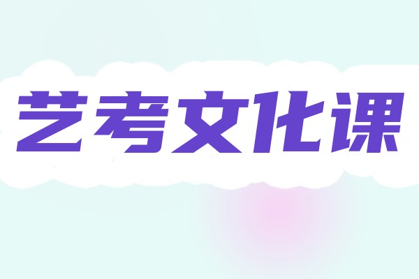 艺考文化课