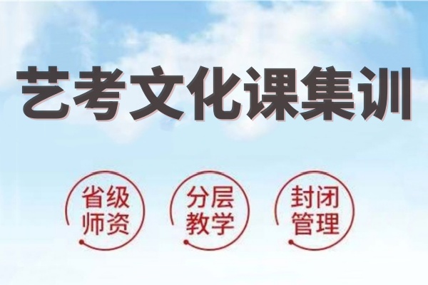 艺考文化课集训