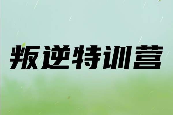 叛逆特训营